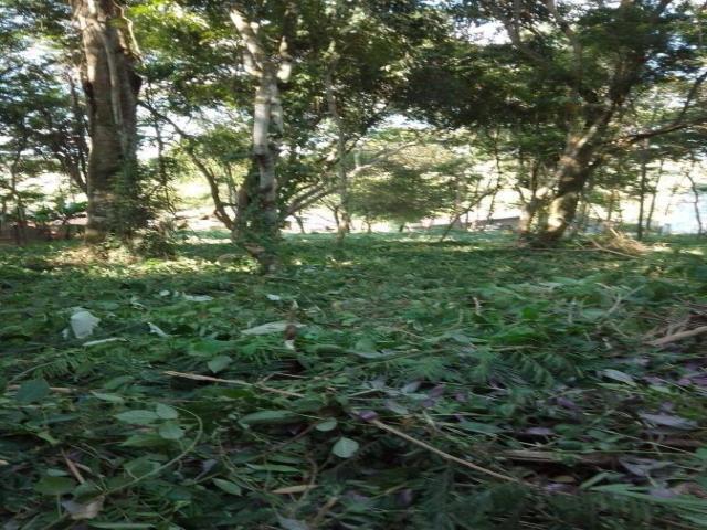 Terreno para Venda em Taubaté - 5