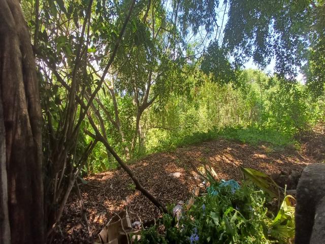 Terreno para Venda em São José dos Campos - 4