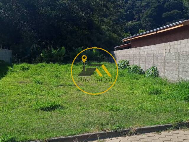 #TE1879 - Área para Venda em São Bento do Sapucaí - SP - 2