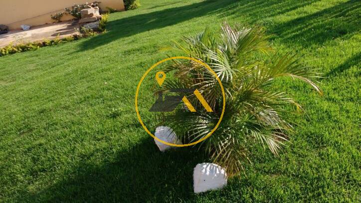 Chácara, 4 quartos, 1700 m² - Foto 3