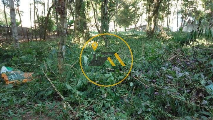 Terreno, 2294 m² - Foto 2