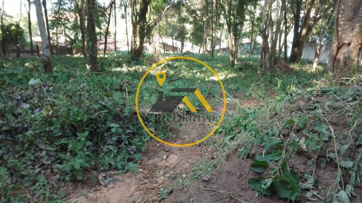 Terreno, 2294 m² - Foto 3