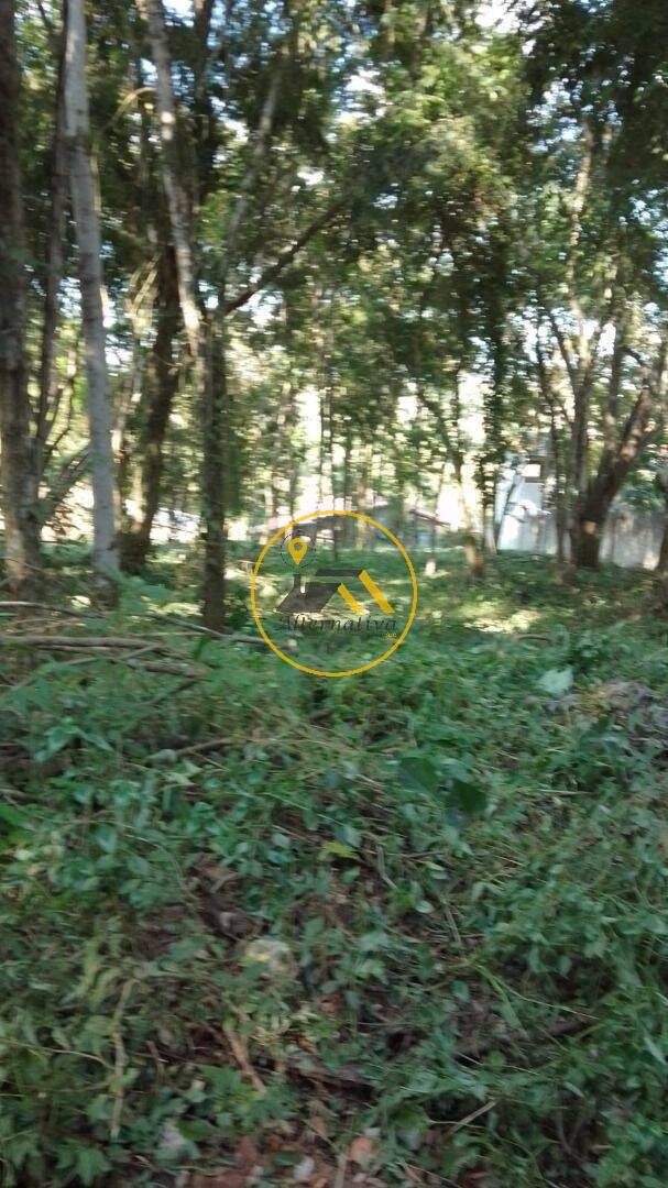 Terreno, 2294 m² - Foto 4