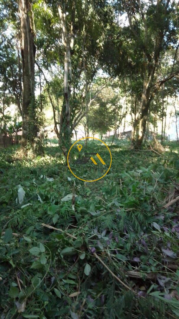 Terreno, 2294 m² - Foto 5