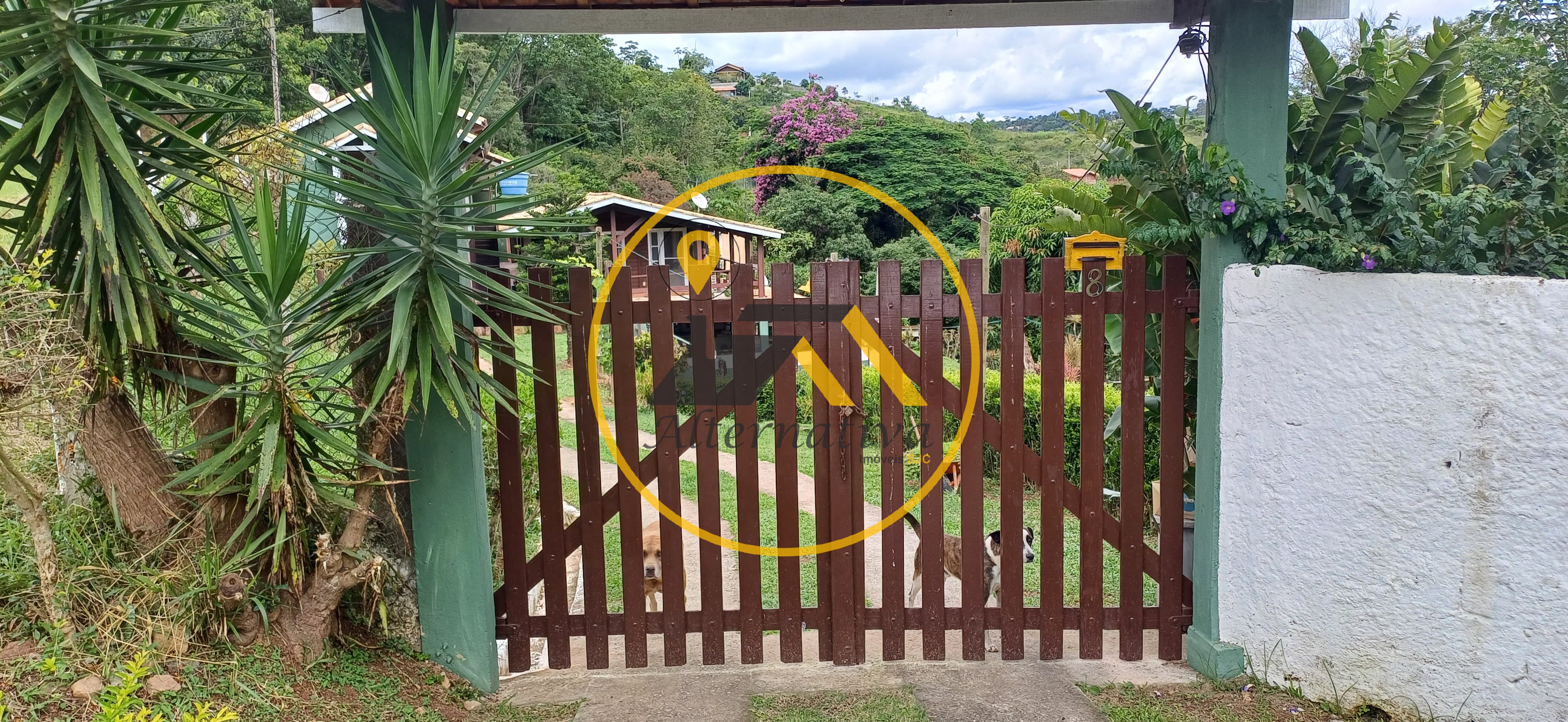 Chácara, 6 quartos, 5000 m² - Foto 2